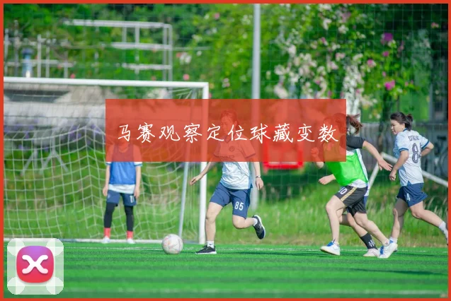 马赛观察定位球藏变数